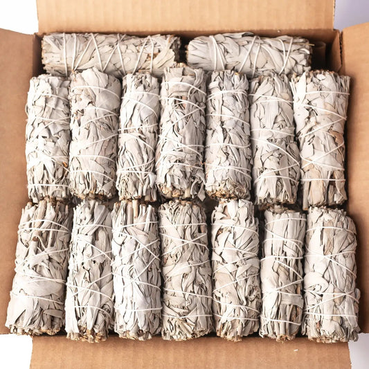 California White Sage (Salvia Apiana) Bulk (100 PACK)