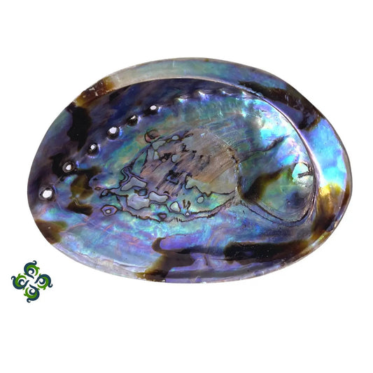 Abalone Shells, 5 - 6 Inches, New Zealand, Incense Burner